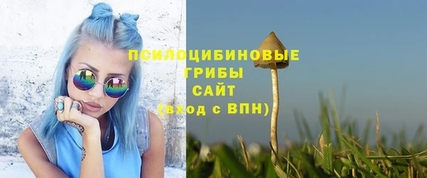 мескалин Белокуриха