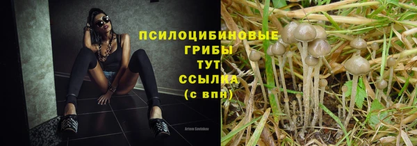 jwh Беломорск