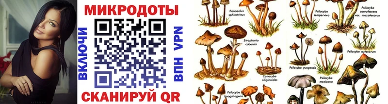 Псилоцибиновые грибы Psilocybine cubensis  ОМГ ОМГ зеркало  Кстово  где продают  